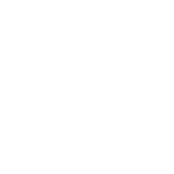 holistic vegan
